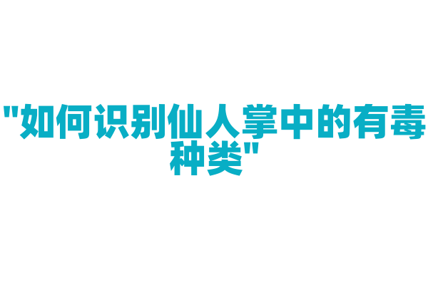 "如何识别仙人掌中的有毒种类"